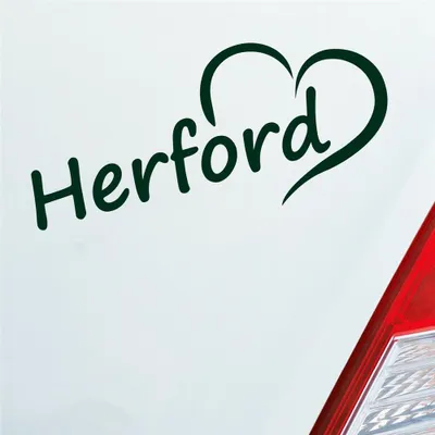 Produktbild von Auto Aufkleber Herford Herz Stadt City Liebe Love Heimat 18x8 cm Dunkelgrün Sticker Heckscheibenaufkleber
