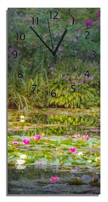 Produktbild von Wallario Design Wanduhr bedruckt, Größe 30 x 60 cm, Motiv: Blühender Seerosenteppich
