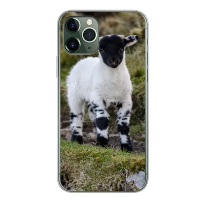 Produktbild von MuchoWow® Handyhülle Schutzhülle Hülle für iPhone 11 Pro Lamm - Schwarz - Weiß - Tupfen Silikon Softcase Handy Hülle - Handy