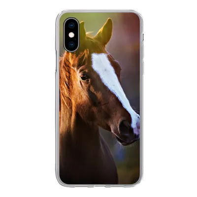 Produktbild von MuchoWow® Handyhülle Schutzhülle Hülle für iPhone X Pferd - Licht - Mantel Silikon Softcase Handy Hülle - Handyhülle