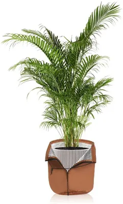 Zdjęcie produktu dla Termiczna ochrona dla roślin, 45 x 50 cm - ochrona przed mrozem w okresie zimowym