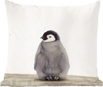 Produktbild von MuchoWow® Zierkissen Sofakissen Wohnzimmer Dekokissen 50x50 cm Pinguin - Tiere - Baby - Komfort - Sofakissen