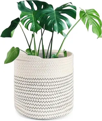 Image de Panier pour plantes d'intérieur, 20 cm, laine, noir et blanc