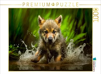 Produktbild von CALVENDO Puzzle Der Wolf | 1000 Teile Lege-Größe 64x48cm Foto-Puzzle für glückliche Stunden