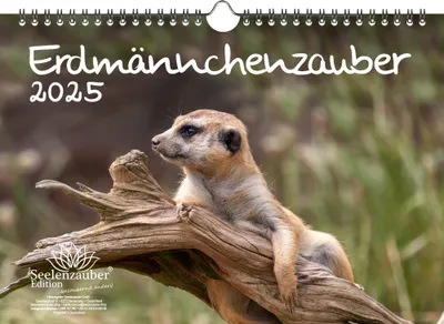 Produktbild von Erdmännchenzauber DIN A4 Kalender für 2025 Erdmännchen - Seelenzauber