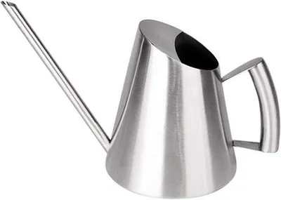 Image de Arrosoir en acier inoxydable pour plantes d'intérieur et d'extérieur - 900 ml, couleur argent