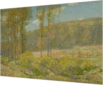 Produktbild von Wandtapete - Dekorative Tapete für Wohnzimmer  - Tapetenfolie für Wanddekoration - 312x219 cm - Waldlandschaft