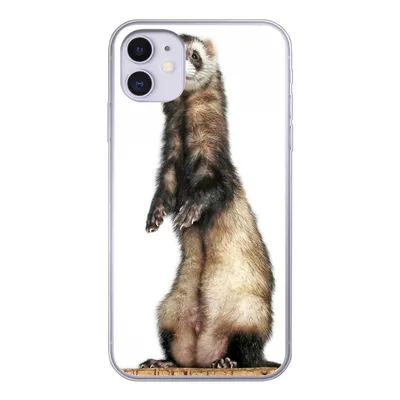 Produktbild von MuchoWow® Handyhülle Schutzhülle Hülle für iPhone 11 Frettchen - Tiere - Fell Silikon Softcase Handy Hülle - Handytasche