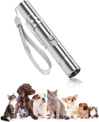 Image de Jouet lumineux interactif pour chats, 3-en-1, maison, jeu