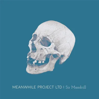 Immagine prodotto di Sir Mandrill