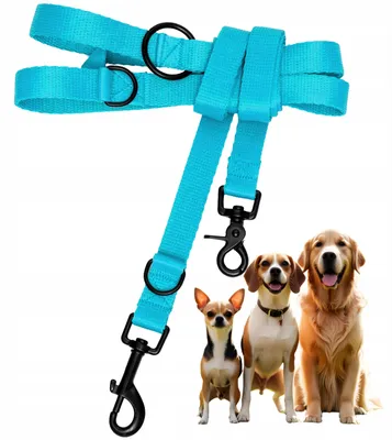 Produktbild von Yourdog M019 Trainingsleine für Hunde, verstellbar, Türkis