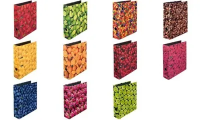 Image de herlitz Classeur à motifs maX.file myrtille, A4, dos : 80 mm