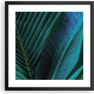 Produktbild von Gerahmtes Poster - Schwarzer Rahmen - Blatt Tropen Grün - 40x40 cm - Wand Bild - Wanddeko - Wandbilder - Kunstposter - Wandposter - Bilderrahmen - Bilder - Kunstdruck - P2BAC40x40-5071