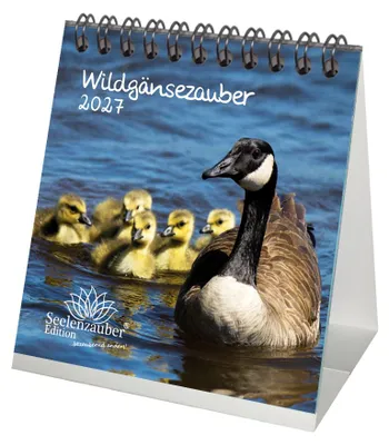 Produktbild von Wildgänsezauber Tischkalender 10x10cm für 2027 Wildgänse - Seelenzauber