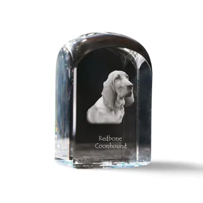 Immagine prodotto di Art-Dog Fermacarte – Redbone Coonhound