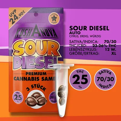 Image de Kit de graines Kushanova - Sour Diesel