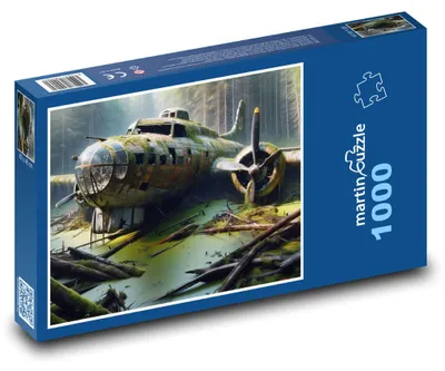 Obrázek produktu pro Puzzle 1000 Ztroskotalé letadlo v močálu - martinpuzzle