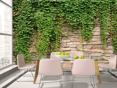 Produktbild von Vlies Fototapete 400x280 cm Tapeten Wandtapete XXL Steine Mauer Efeu b-A-0173-a-d