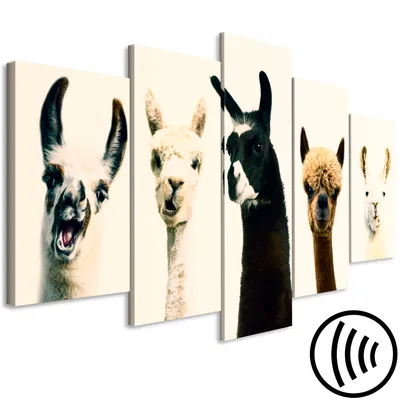 Image de Tableau acoustique Animaux 200 x 100 cm Tableaux Mousse acoustique Absorbeur acoustique haute performance Toile insonorisante 5 pièces Tableau mural Acoustique intérieure Isolation acoustique Lama g-A-0234-b-m