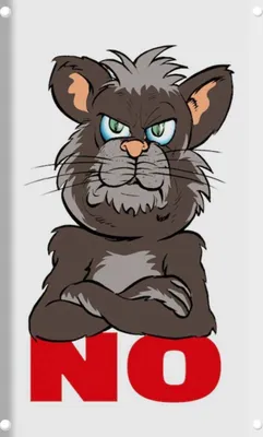 Produktbild von vianmo Blechschild 30x20 cm NO Katze Dekoration