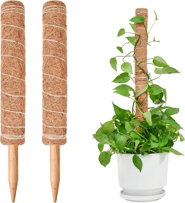 Obrázek produktu pro Podpěra pro rostliny Monstera, 2 kusy, 40 cm – Kokosové oplétání pro popínavé rostliny, přírodní a stabilní, vhodné pro použití v interiéru i exteriéru
