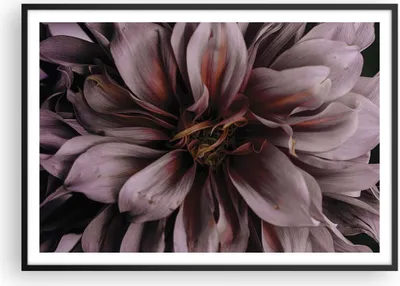 Produktbild von Gerahmtes Poster - Schwarzer Rahmen - Blumenstrauß Künstlerisch Blume - 100x70 cm - Wand Bild - Wanddeko - Wandbilder - Kunstposter - Wandposter - Bilderrahmen - Bilder - Kunstdruck - P2BAA100x70-5019