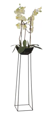 Produktbild von Pflanzenständer / Blumenständer schwarz