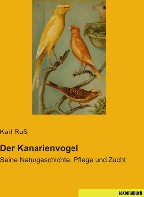 Produktbild von Der Kanarienvogel