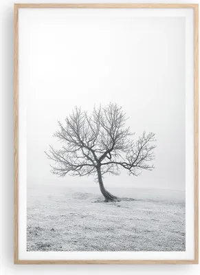 Produktbild von Gerahmtes Poster - Rahmen in heller Eiche - Baum Feld Natur - 70x100 cm - Wand Bild - Wanddeko - Wandbilder - Wandposter - Bilderrahmen - Bilder - Kunstdruck - Wandbild - P2NPA70x100-3683