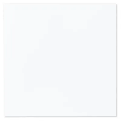 Productafbeelding van SWPO-450 Infraroodverwarming, 59,5x59,5 cm, 450 Watt, wit