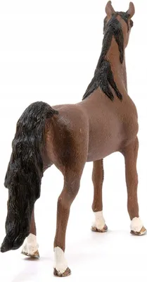 Produktbild von schleich HORSE CLUB 13913, 5 Jahr(e), Horses, Mehrfarbig, Kunststoff