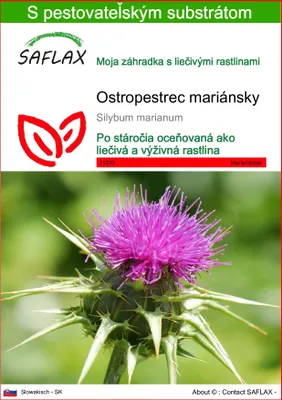 Obrázok produktu pre SAFLAX - ostropestrec mariánsky - Silybum marianum - 75 Semená - S pestovateľským substrátom bez klíčkov