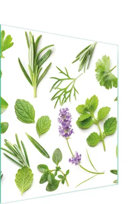 Image de Planche à découper en verre 45x52 Plantes
