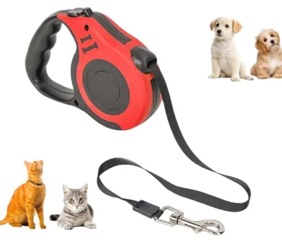 Image de PARENCE. Laisse extensible pour chien, 5 m, robuste