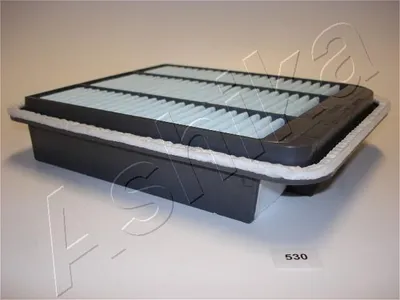Produktbild von Luftfilter ASHIKA 20-05-530 für MITSUBISHI GRANDIS (NAW) Filtereinsatz