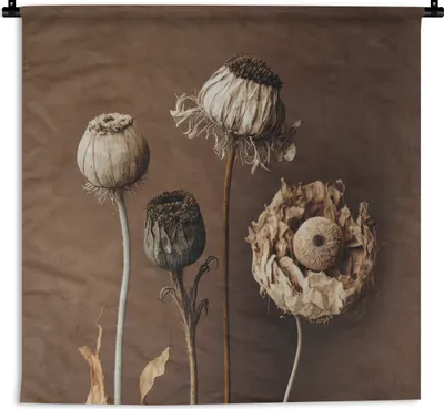 Produktbild von MuchoWow® Wandteppich Wandbehang Blumen - Pflanzen - Trockenblumen - Braun 60x60 cm Tapisserie Dekoration Wandtuch - Dekorationen - Wand Decke