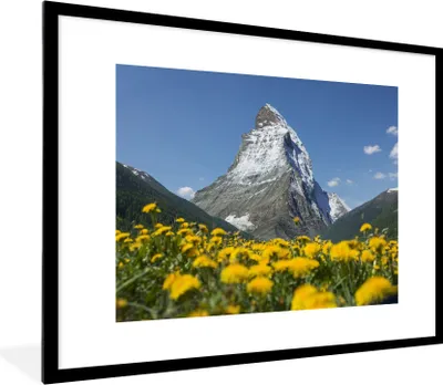Produktbild von MuchoWow® Gerahmtes Poster Das Matterhorn in der Schweiz über einem Löwenzahnfeld 80x60 cm - Poster mit Schwarzem Bilderrahmen Wandposter Rahmen Foto Bilder - Schlafzimmer-Dekorationen - Fotoposter