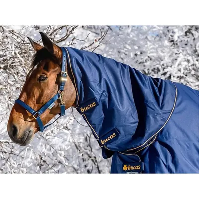 Produktbild von Bucas Halsteil 0g Irish Neck Navy/Gold 115
