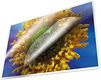Produktbild von Laminierfolie A4 100 Blatt 216x303mm 100 Mikron Kangaro klar transparent