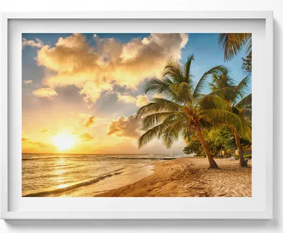 Produktbild von Palmenstrand und Meer bei Sonnenuntergang– Wandbild mit Rahmen – Gerahmtes Bild  – Wanddekoration – 80x60 cm –  Weiß Rahmen