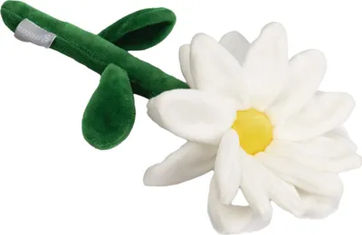 Produktbild von Beeztees Hundespielzeug Blume Daisy weiß