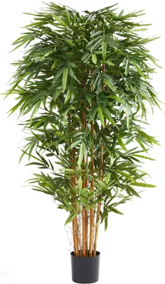 Produktbild von aplanta Künstlicher Bambus – Nayoko | 150 cm, Echtholzstamm, UV-beständig, für drinnen, Kunstbaum, wie echt, Allergiker geeignet, pflanzliche Dekoration Praxis, Office & Wohnzimmer
