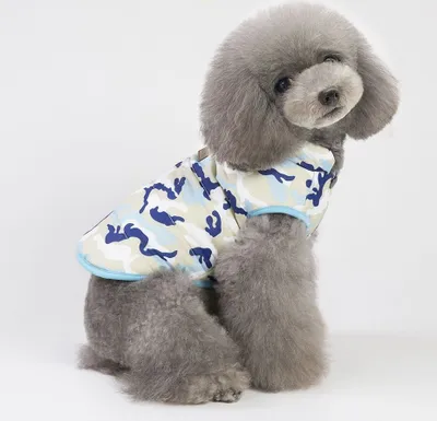 Productafbeelding van Hondenjas - Blauw, camouflageprint, maat S