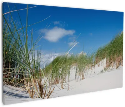 Produktbild von Wallario Premium Leinwandbild Düne am Strand unter blauem Himmel in Größe 60 x 90 cm