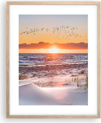Produktbild von Gerahmtes Poster - Rahmen in heller Eiche - Sonne Strand Vögel - 40x50 cm - Wand Bild - Wanddeko - Wandbilder - Kunstposter - Wandposter - Bilderrahmen - Bilder - Kunstdruck - P2NPA40x50-4727