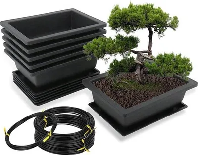 Produktbild von Bonsaipotten aus Kunststoff - 6 Stück Bonsai-Trainingspotten - 16 x 12 x 6 cm