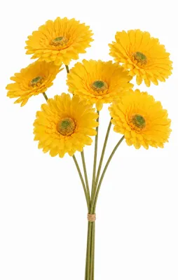 Produktbild von Kunstblumen Gerbera 50cm 6 Stück Gelb