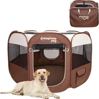 Image de Famanu Puppybox : Cage de transport pour chiots, couleur kaki, taille M