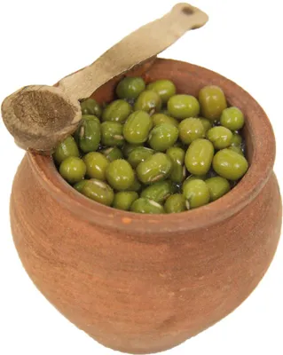 Produktbild von FADEDA Oliventopf  / Höhe:5 cm / handbemalt / detailgetreue Krippen Figuren - Weihnachten Tisch Dekoration Krippe Zubehör