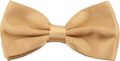 Produktbild von Oblique Unique Fliege Schleife Hochzeit Anzug Smoking - champagner